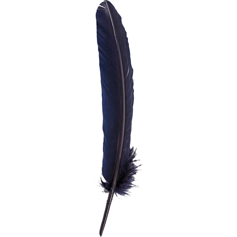 Ganzenveer 28cm  blauw-/ St.