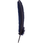 Goose quill/ Pc.