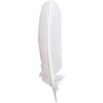 Ganzenveer 28cm wit-/ St.