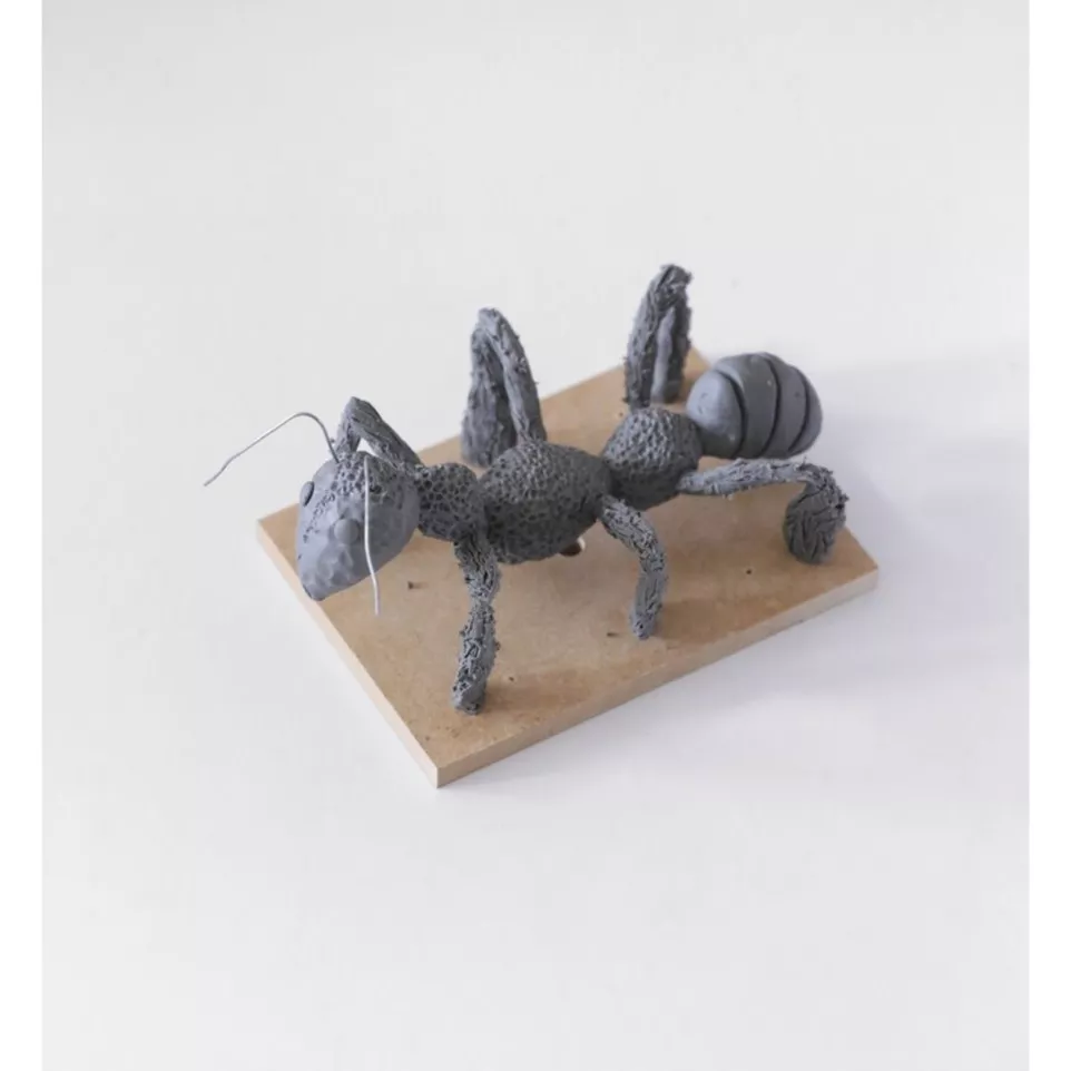 Plastiline initiatiesetFR/EN-/ St.