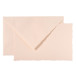 30 krt+env 300g doos- ModedeParis roze/ St.