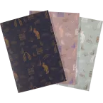 CAHIER A5 LALO SPECIAL 100 ANS 48 PAGES LIGNEES/ Pce