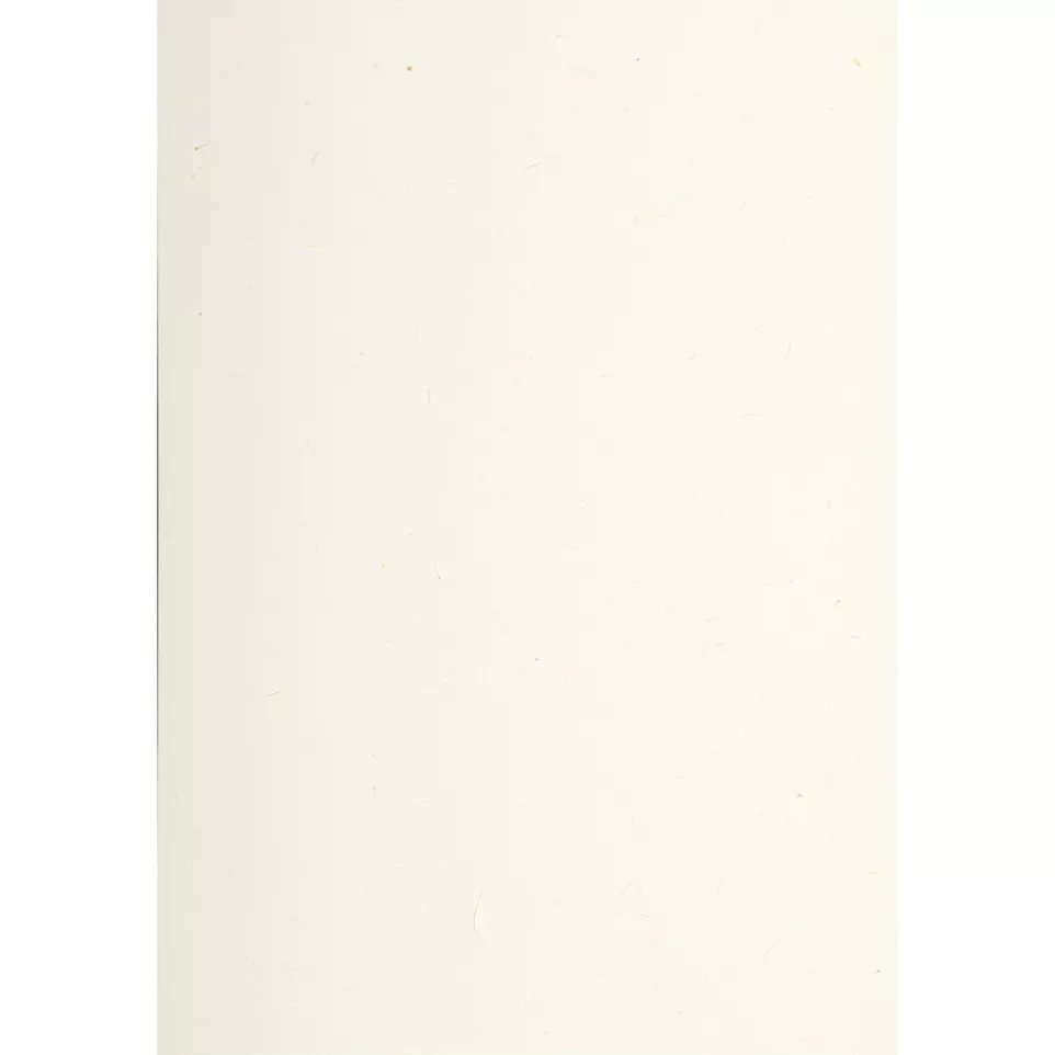 20 blad 120g A4 Paille natuur-/ St.