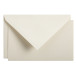 10 cards 85x135 & en-velopes Vellum 50% c/ Pc.