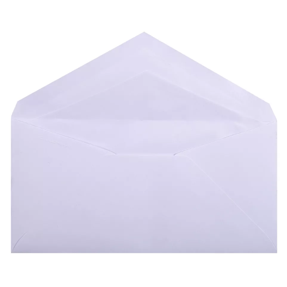 20 enveloppes DL (110x220mm) Vélin...