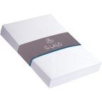 25 Diploma envelopes...