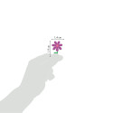 Cooky, Bloemen-/ St.