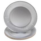 10 Assiettes en carton...