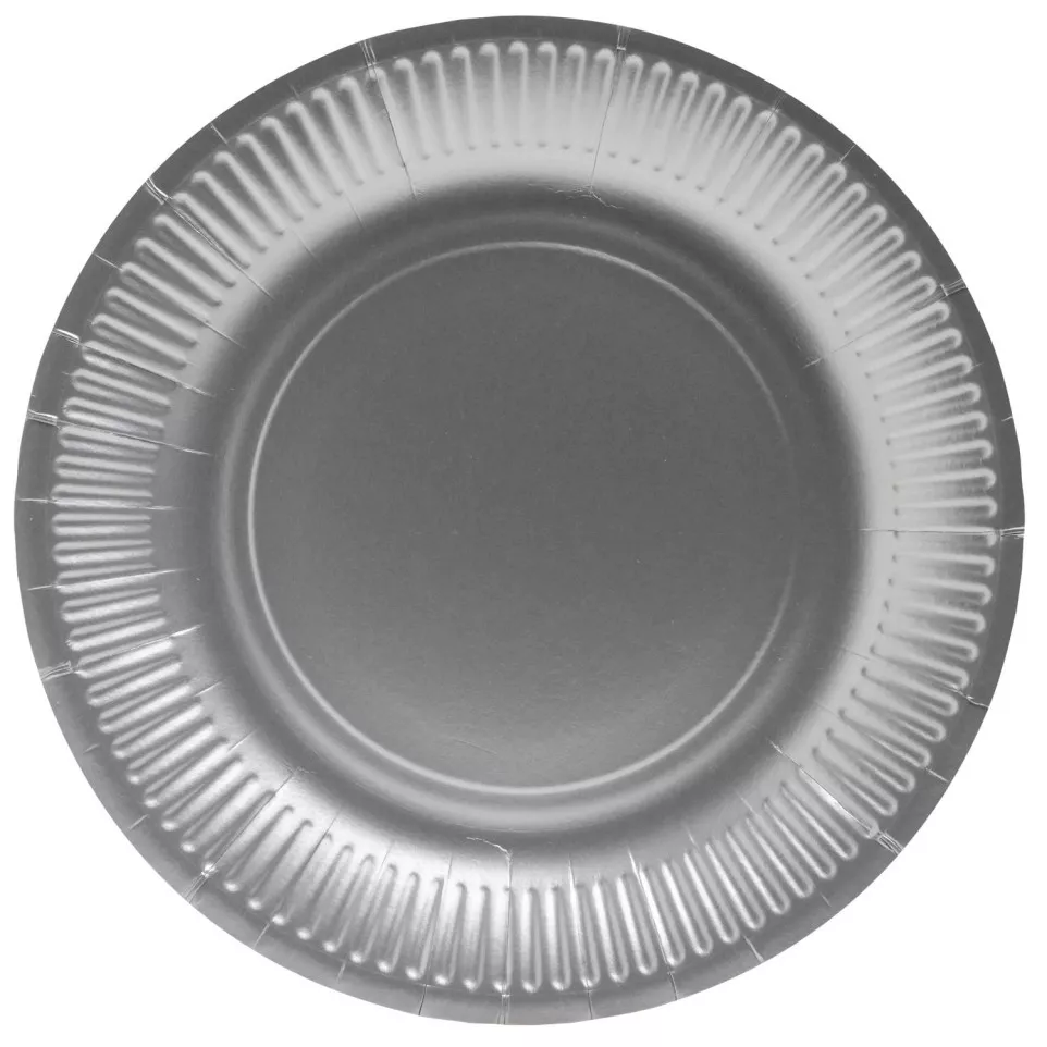 10 Assiettes en carton rondes, 23 cm/...