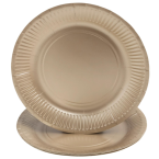 10 Assiettes en carton...