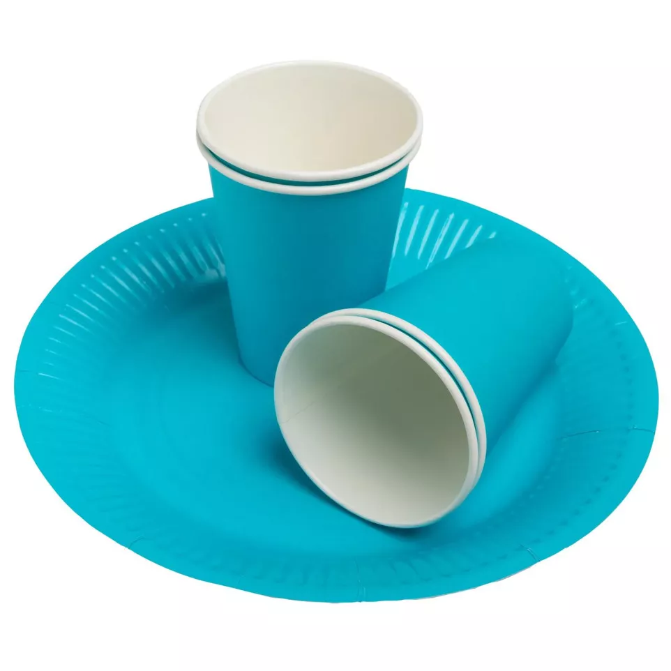 20 Assiettes en carton rondes, 23 cm/...