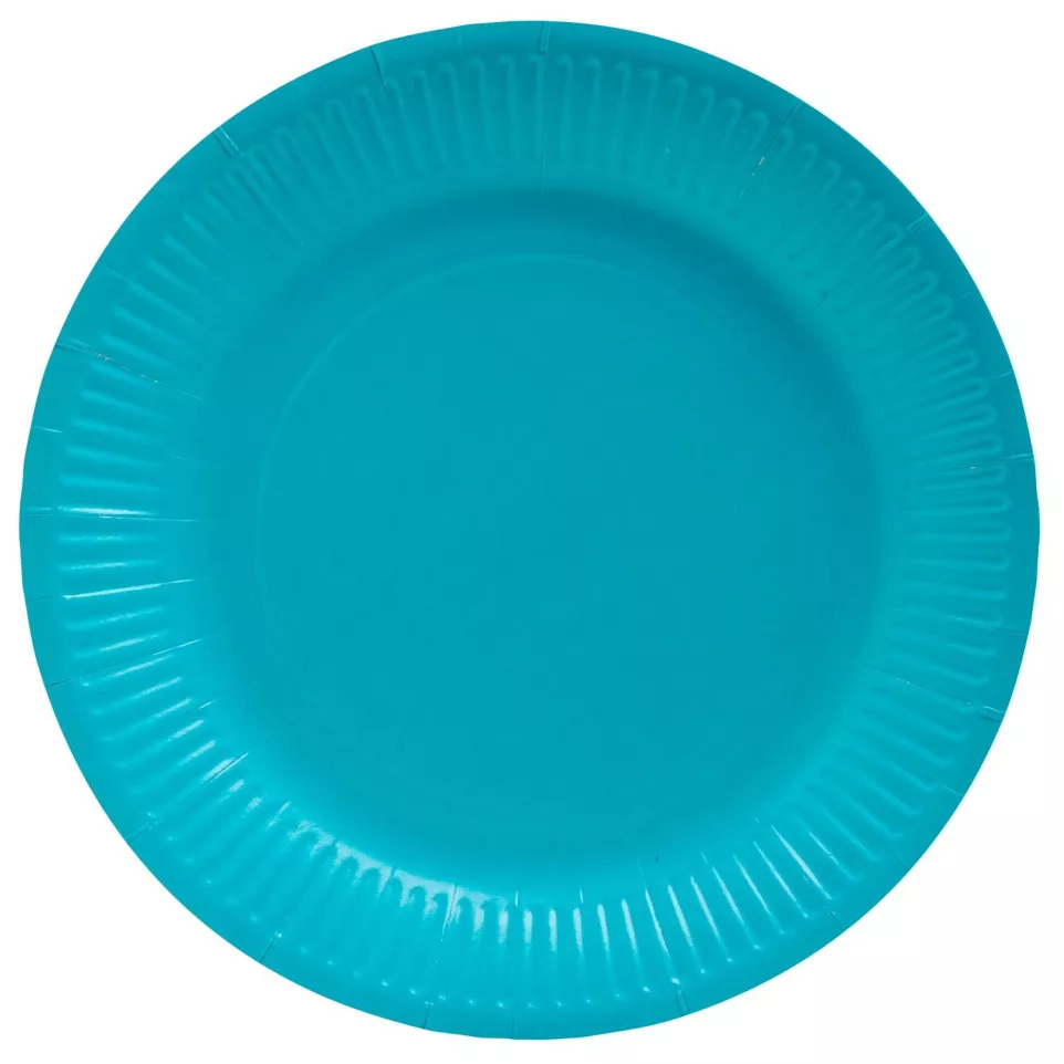 20 Assiettes en carton rondes, 23 cm/...