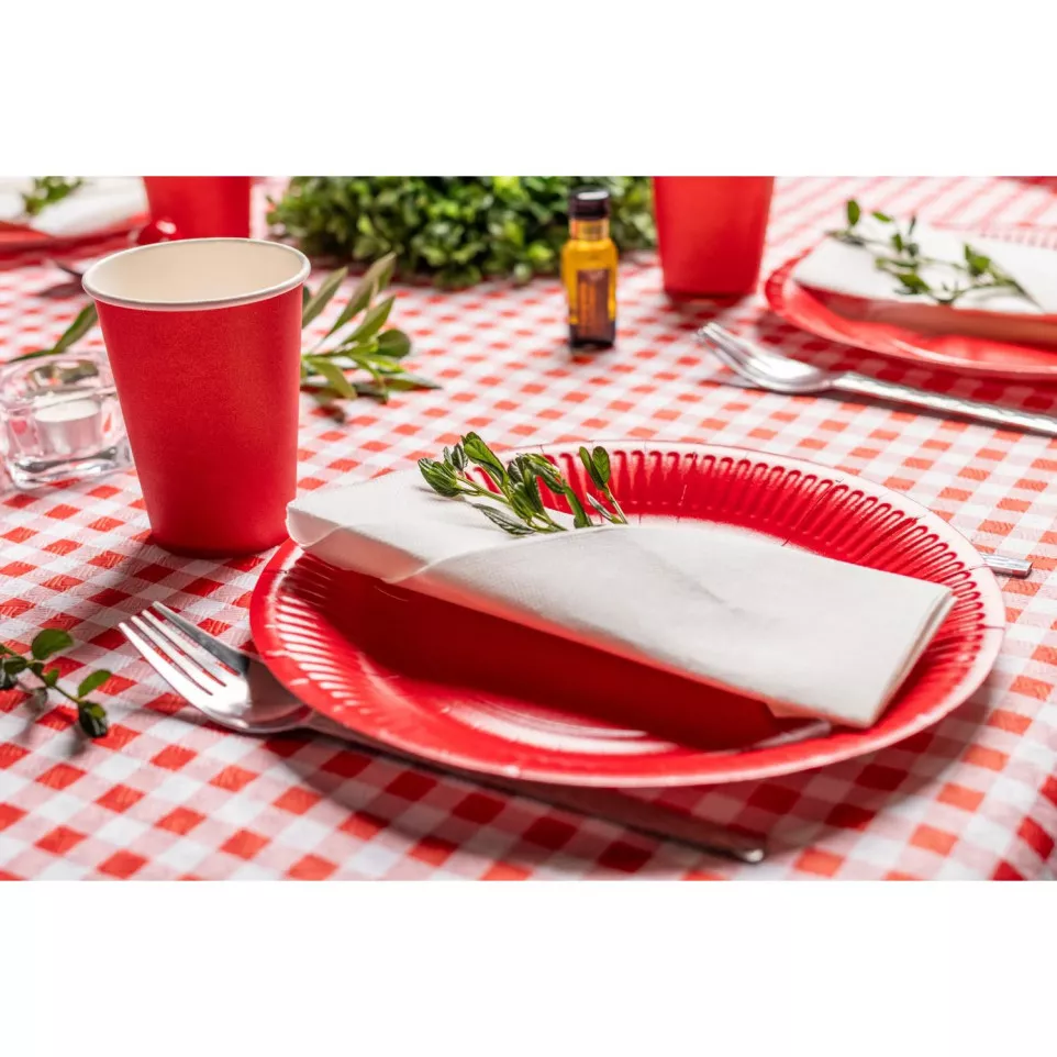 20 round cardboard plates, Ø 23 cm/ Pc.