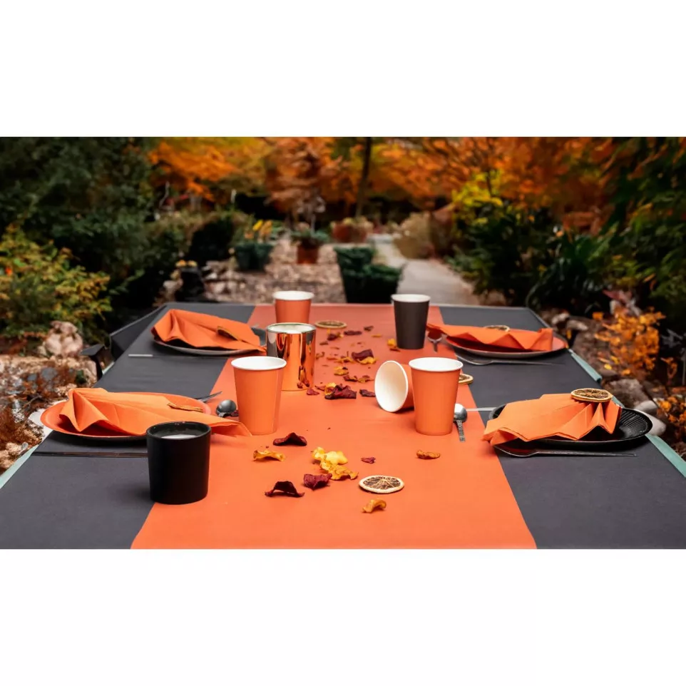 20 Assiettes en carton rondes, 23 cm/...