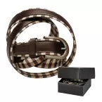 Tous marron  ceinture mixte 