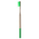 ColoBoo green natural bamboo toothbrush 