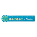 Couler 15 white  15 cm ruler, circle 