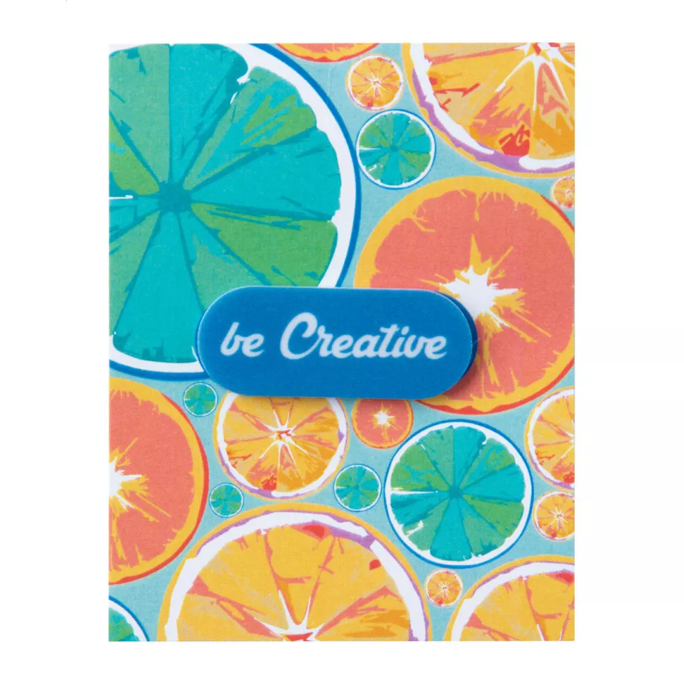 CreaCam wit  custom made webcam blocker 