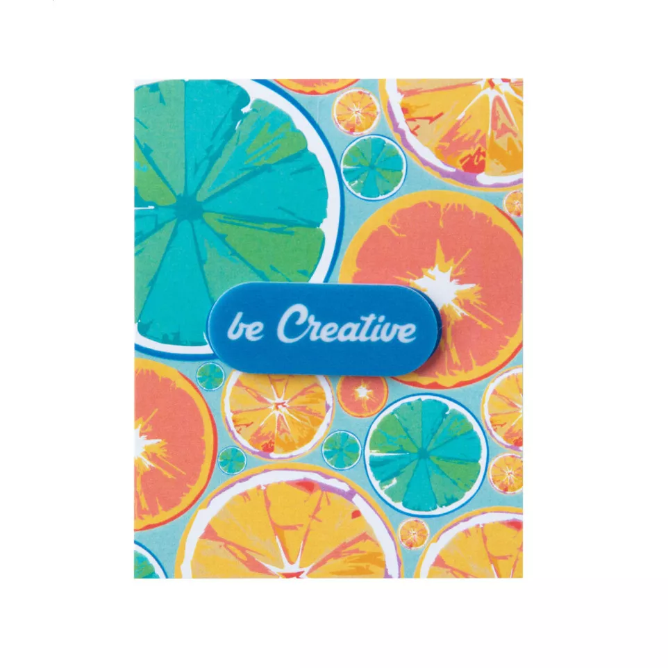 CreaCam wit  custom made webcam blocker 