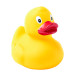 Squack yellow  rubber duck 