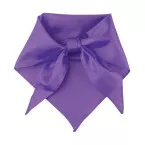 Capra violet  foulard 