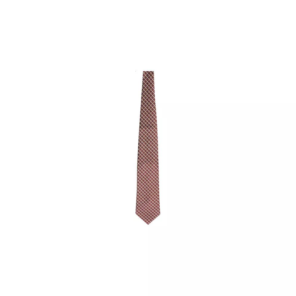 Tienamic marron  Cravate 