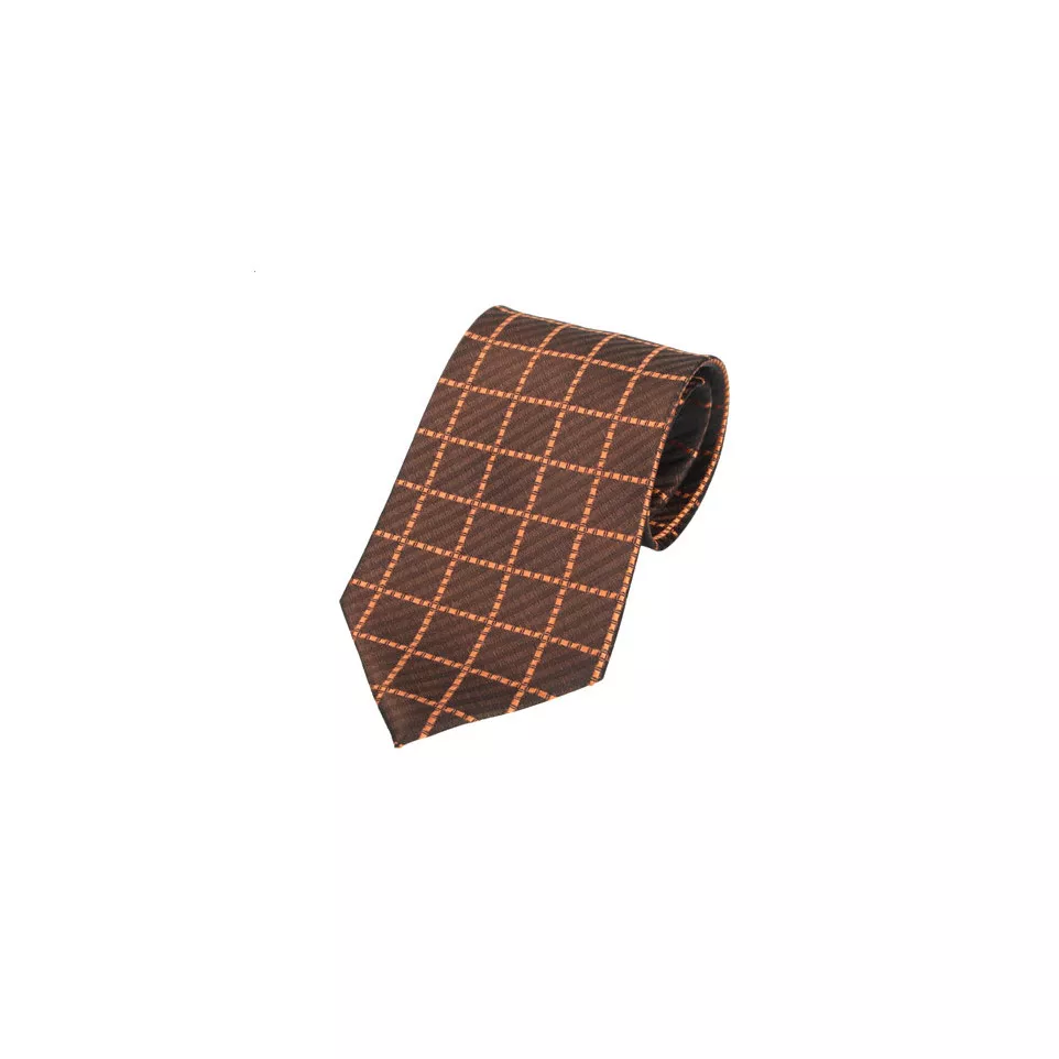 Tienamic bronze  Cravate 