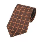 Tienamic bronze  tie 