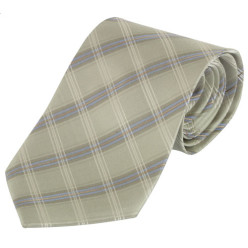 Tienamic pistachio  tie 