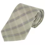 Tienamic pistachio  tie 