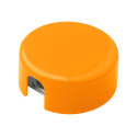 Spiked orange  taille-crayon 
