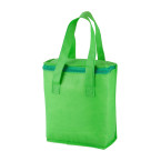 Fridrate green  cooler bag 