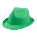 Party green  hat 