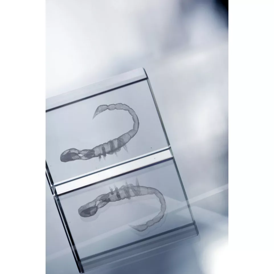 Macon transparent  glass block 