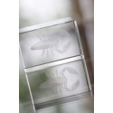 Macon transparent  glass block 