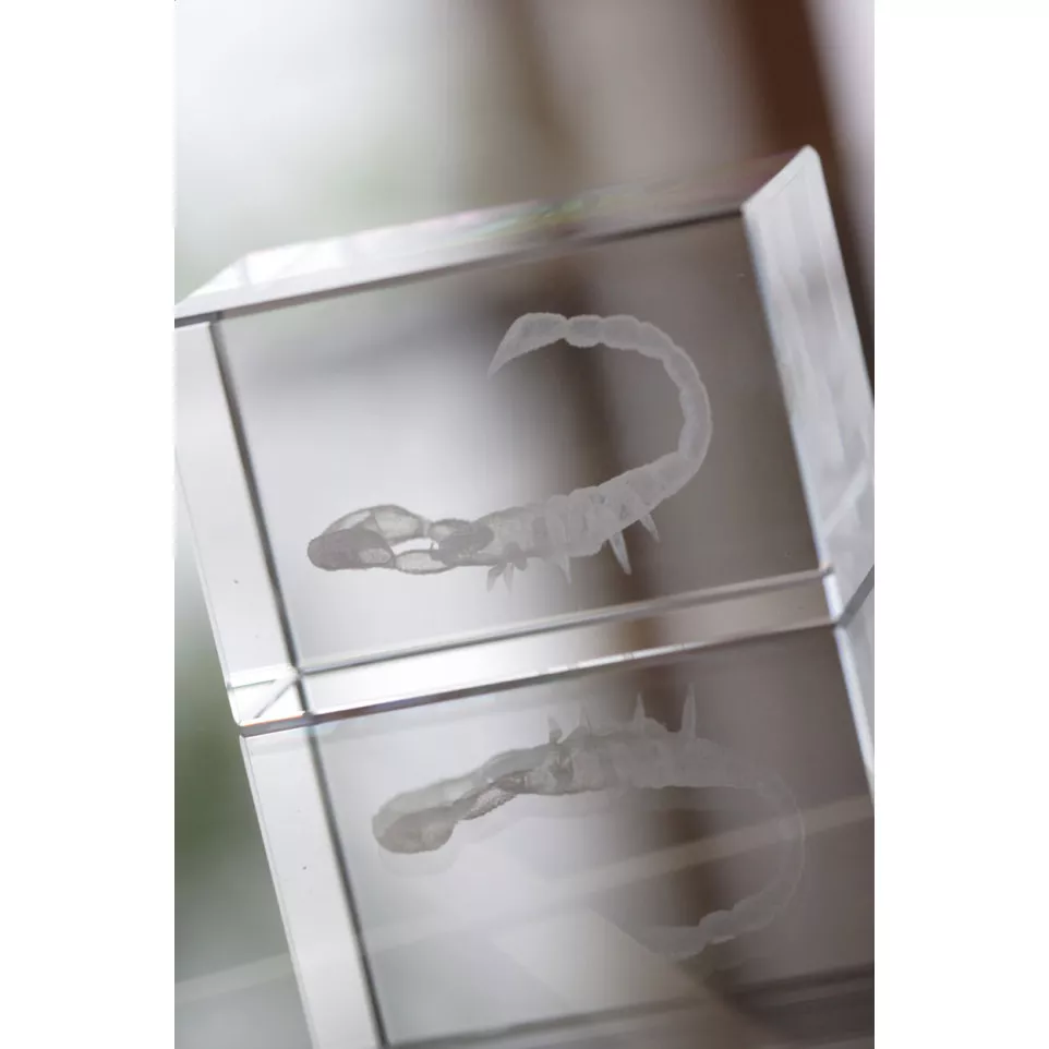 Macon transparent  glass block 