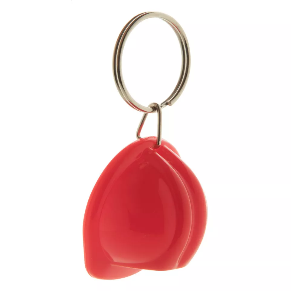 Bobby red  keyring 