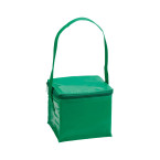 Brava green  cooler bag 