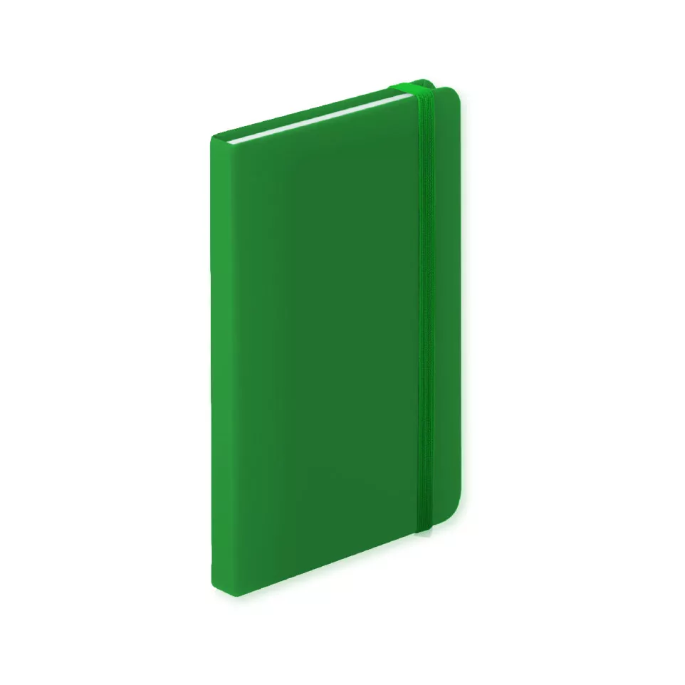 Nopuk Line A5 green  notebook 