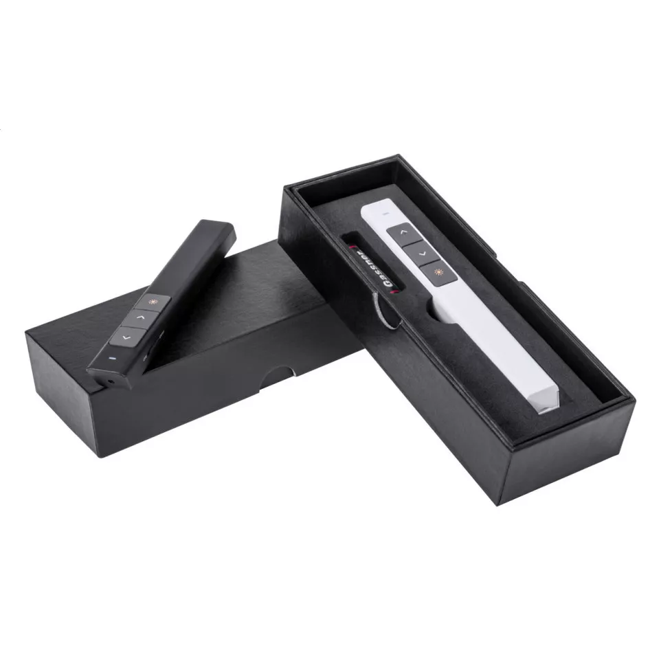 Presenter wit  laser pointer 