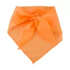Capra orange  foulard 