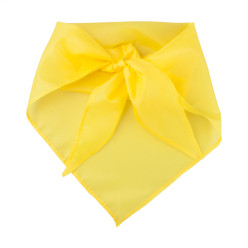 Capra jaune  foulard 