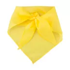 Capra jaune  foulard 