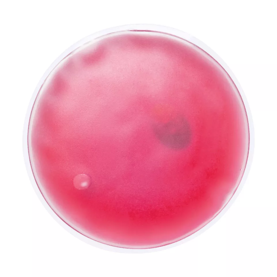 Relief fuchsia  chaufferette 