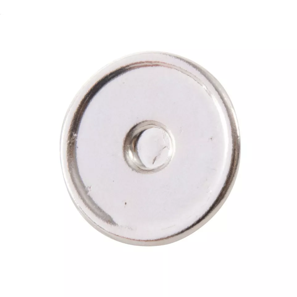 Read zilver  metalen badge 