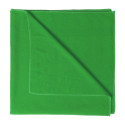 Evolve green  towel 