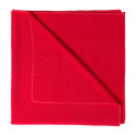 Evolve red  towel 