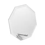 Champion transparent  trophy 