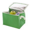 Ortit green  cooler bag 