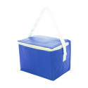 Ortit blue  cooler bag 